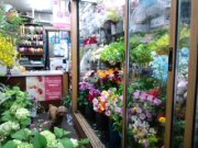 「坂生花店」　（三重県鳥羽市）の花屋店舗写真1