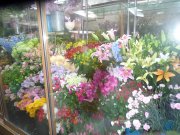 「坂生花店」　（三重県鳥羽市）の花屋店舗写真2